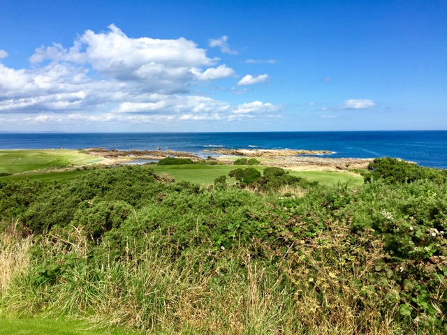 It is views like this, of the 16th green at Balcomie Links, that will keep me coming back to Crail.