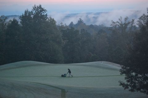 Curraheegreencutting