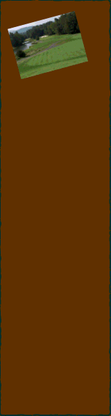 gcr.gif