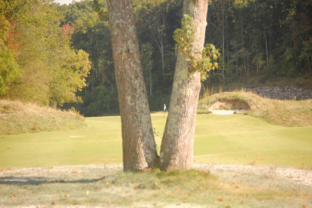 MountainParkpar5throughtree