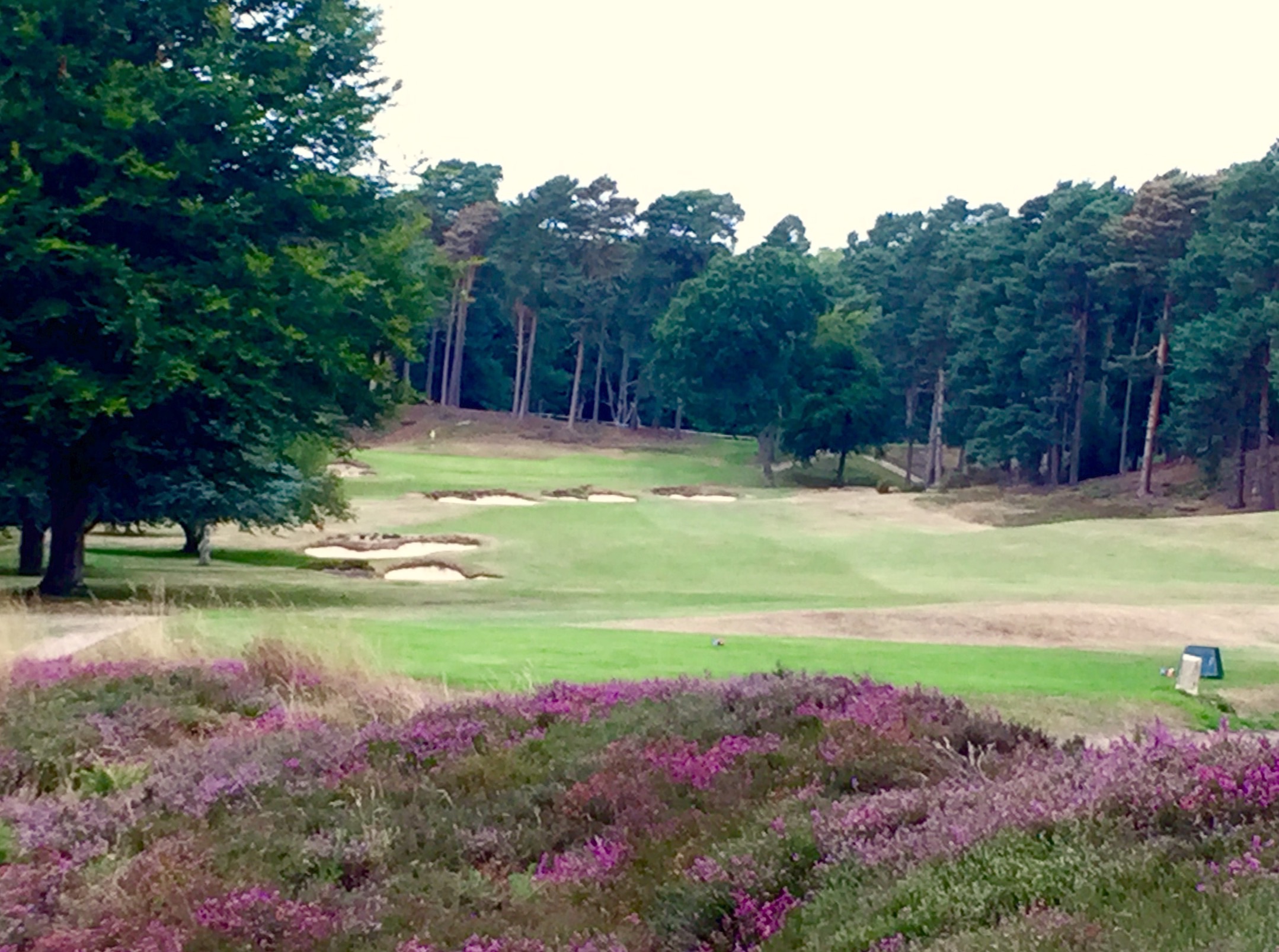 St. Georges multiple bunkers 16