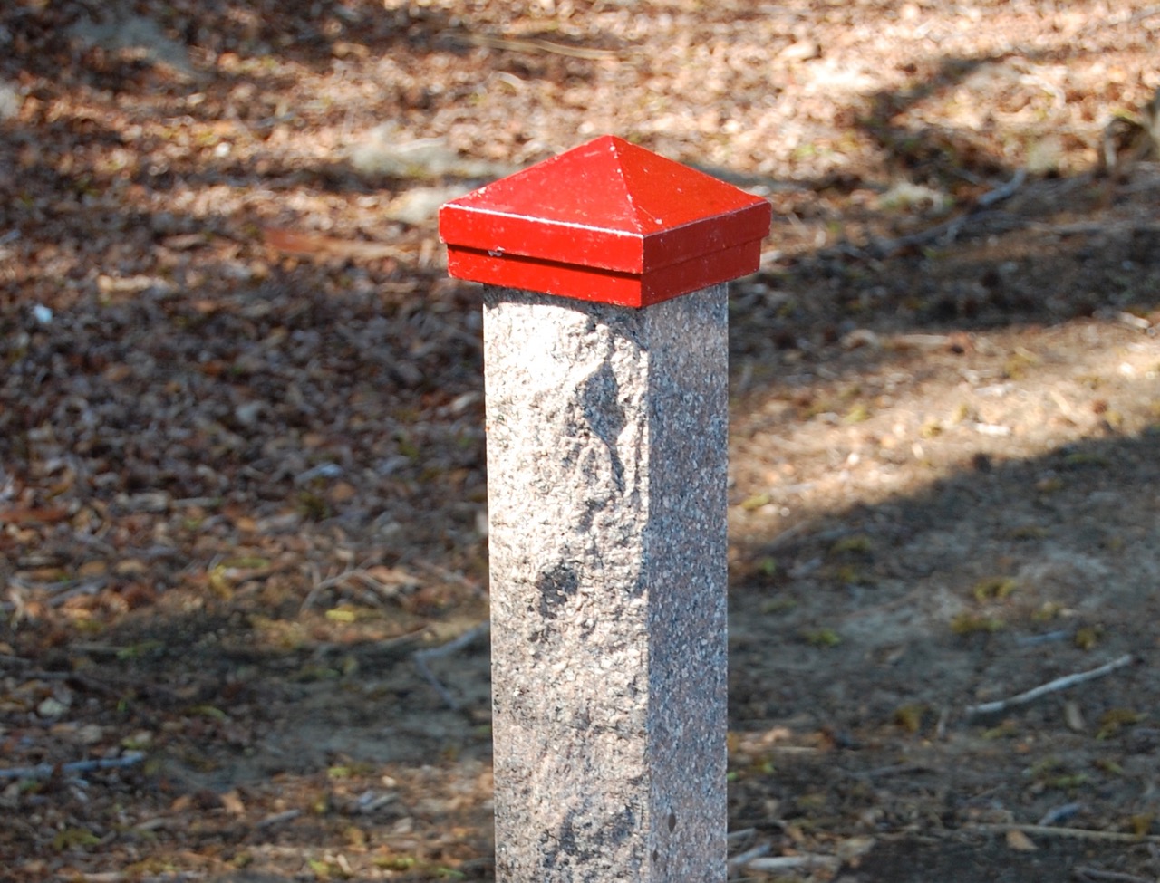 DatawPinPositionMarker