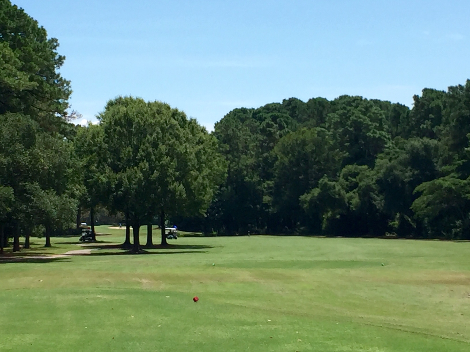 Litchfield6 from tee