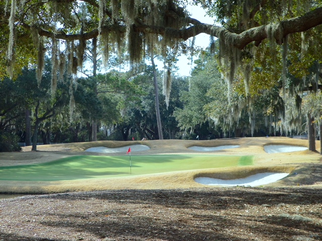 Caledonia live oaks and green