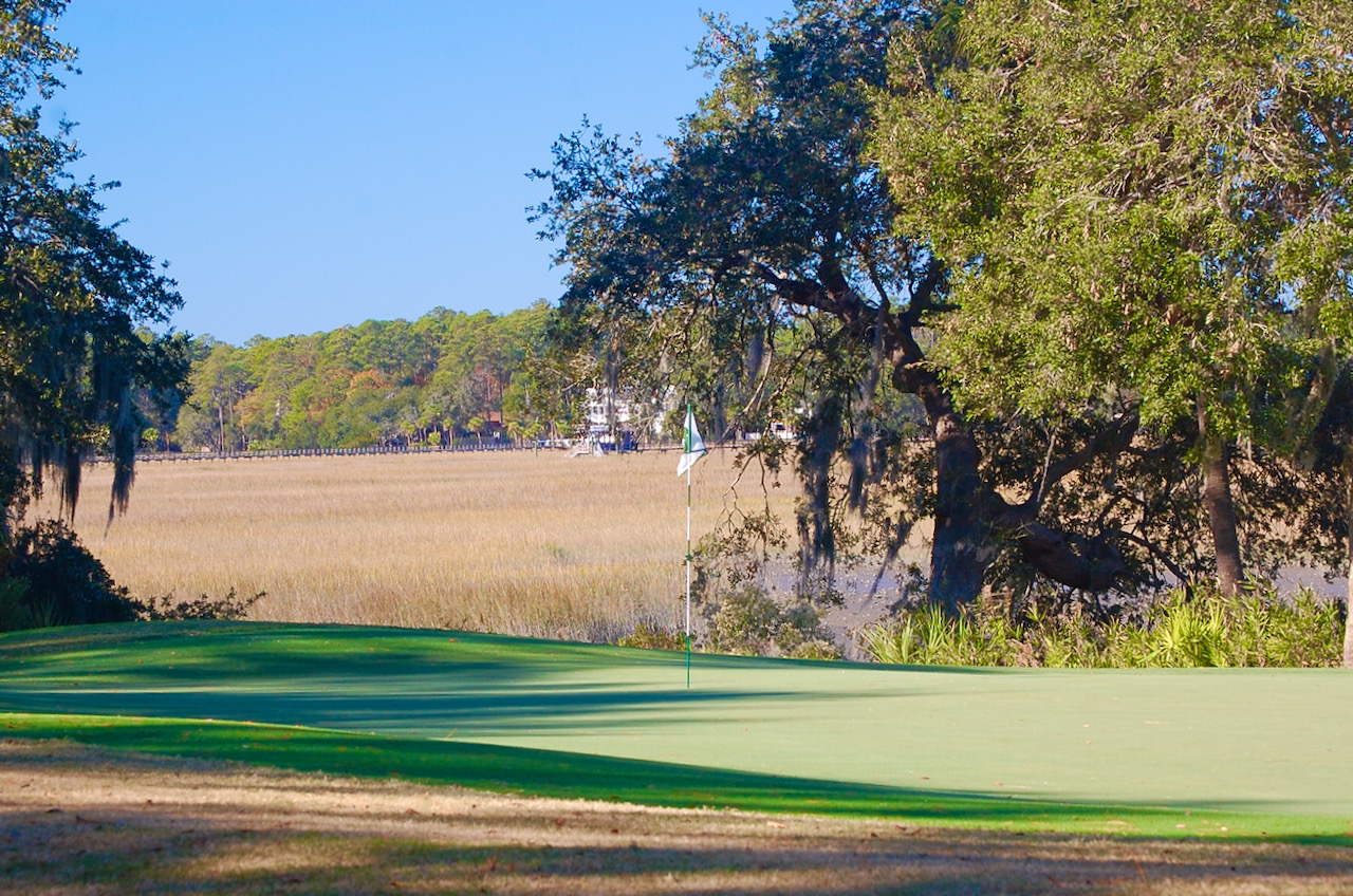 Landings Palmetto on marsh