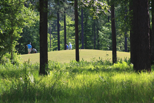 Only Natural: Carolina Colours Combines Golf and Land Design