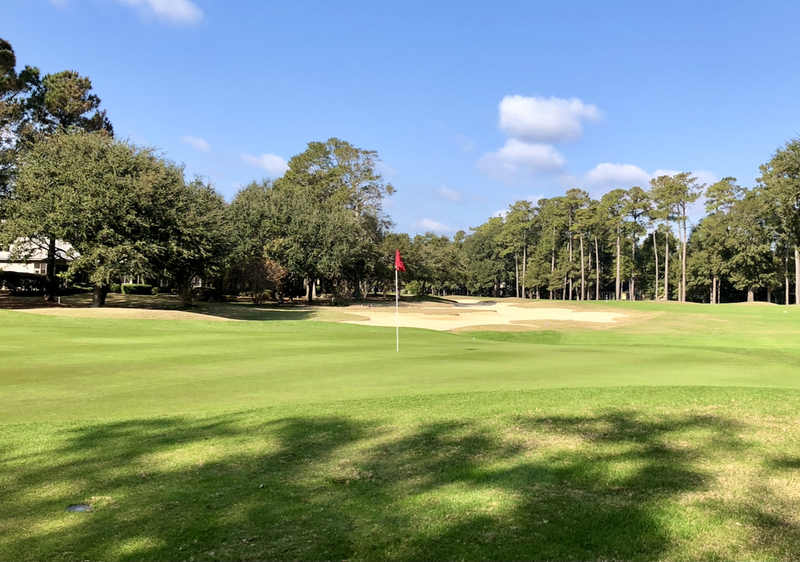 Pawleysbehind11green