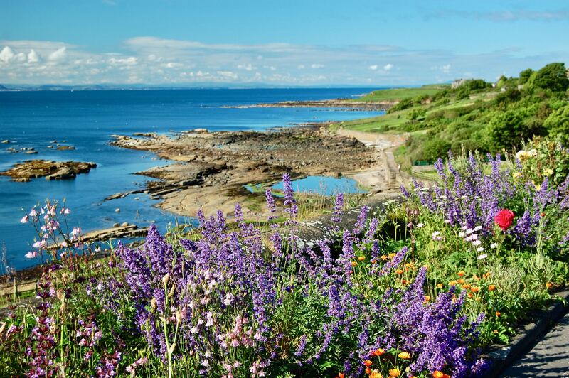 Crailtownflowersandsea