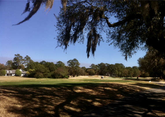 Heritage fairway from under trees