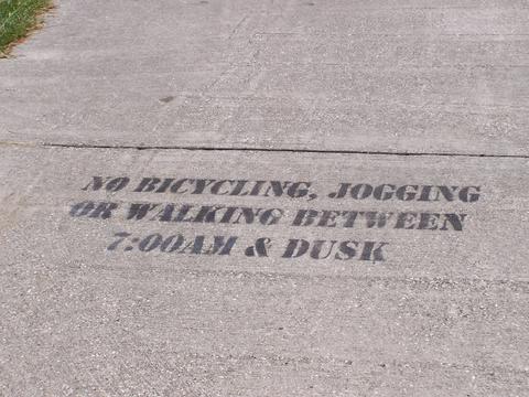 100_4703coosawnowalking.jpg