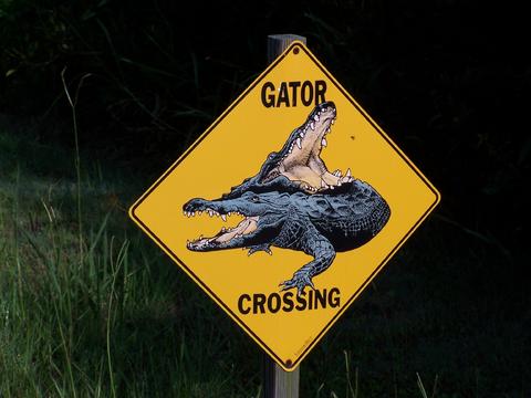 100_4865gatorxingat_cnatl.jpg