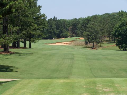 cuscowilla9fromtee.jpg