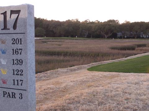 pawleys17teemarkerandhole.jpg