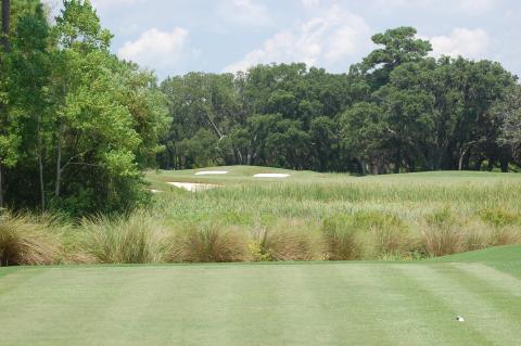 briarscreek11fromtee180toclearmarsh.jpg