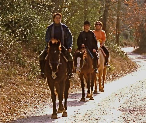 horseridersontrailinfalljpeg.jpg horseridersontrailinfalljpeg.jpg