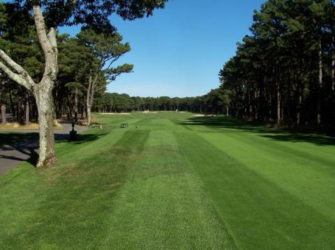 oysterharbors15tee.jpg