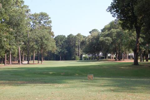 pawleysplantation15thtee.jpg