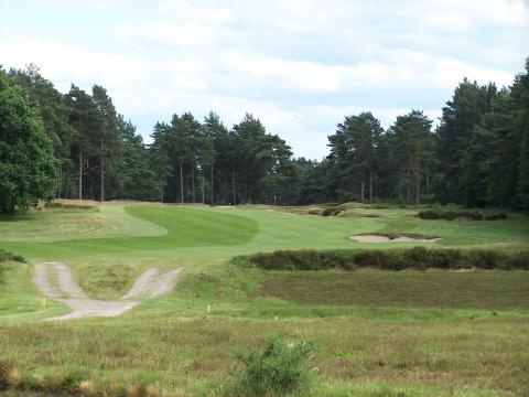 sunningdale14fromtee.jpg