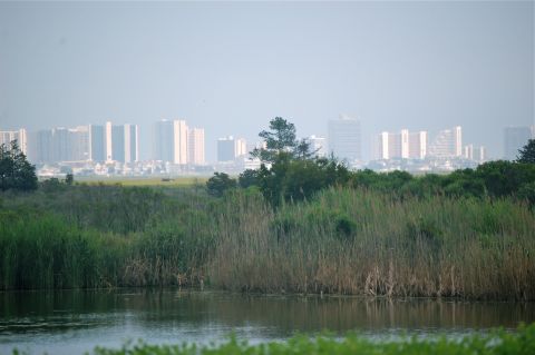 BaysideOceanCitySkyline