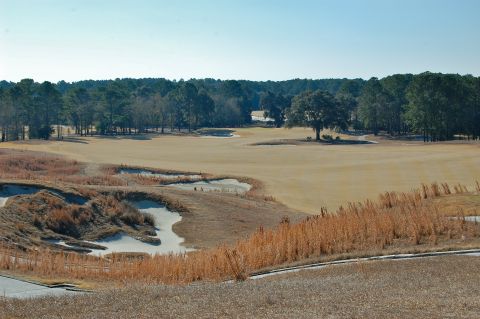 BullsBayfrom1sttee