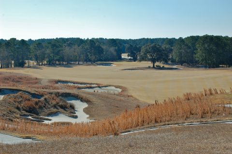 BullsBayfrom1sttee