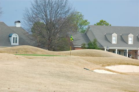 Wynlakes5green