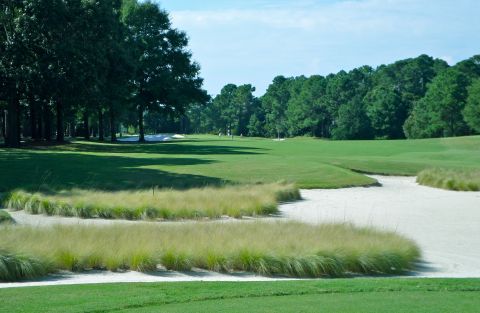 PortersNeckoversawgrassandsand