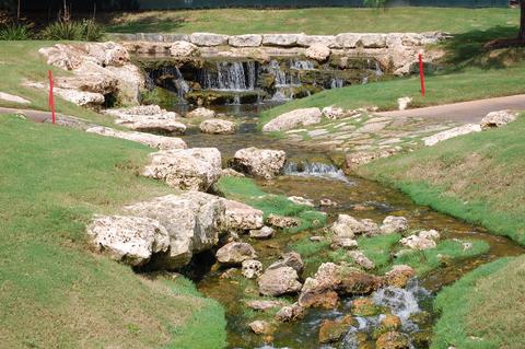 dsc_0412uoftexasstream.jpg