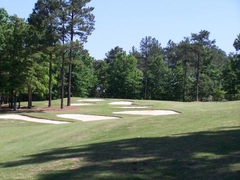 elanwoodlands12approachoverbunkers.jpg