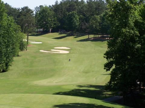 elanwoodlands12doglegpar4.jpg