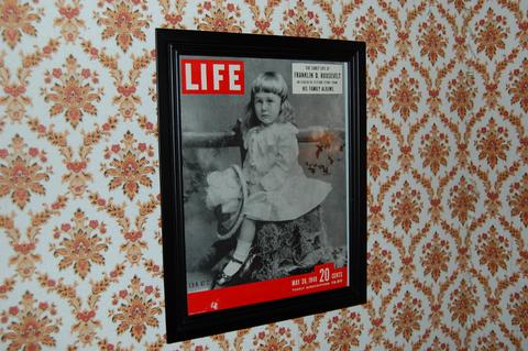 hummbirdfdrbabyphoto.jpg hummbirdfdrbabyphoto.jpg