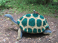 LEGO turtle at Brookgreen Gardens, Murrells Inlet, SC