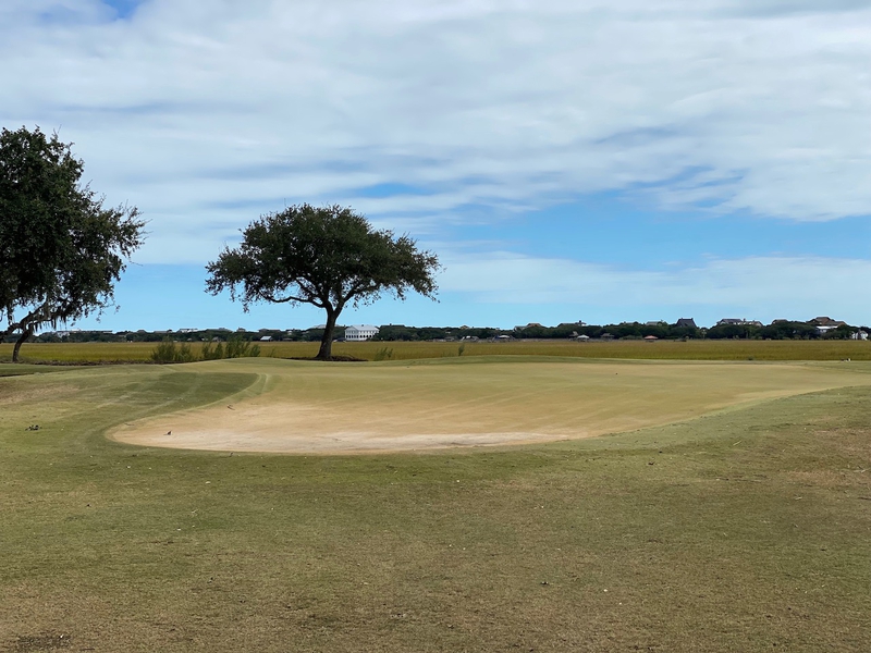 Pawleys 16th green brownout