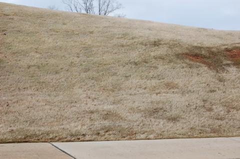 oxmoorvalleycartpathslope.jpg