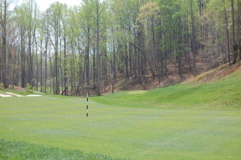 poplargrove3fairway.jpg