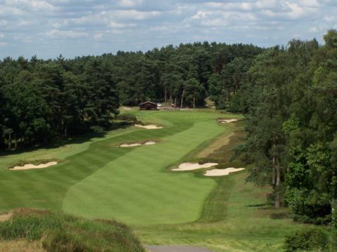 sunningdale10fromtee.jpg