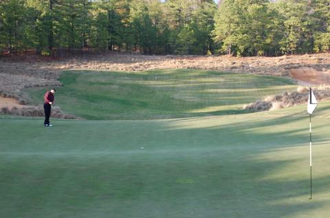 tobaccoroad16thgreen.jpg